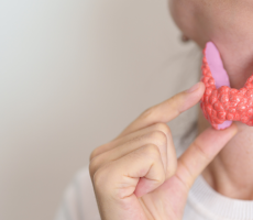 Model štitne žlijezde prikazan ispred vrata osobe – edukacija o hipertireozi