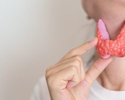 Woman,Holding,Human,Thyroid,Anatomy,Model,With,Her,Neck.,Hyperthyroidism,
