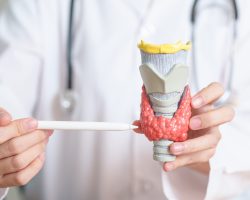 Doctor,With,Human,Thyroid,Anatomy,Model.,Hyperthyroidism,,Hypothyroidism,,Hashimoto,Thyroiditis,